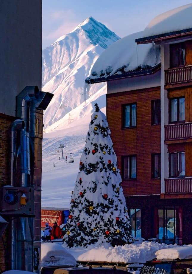Gudauri Shiny Studio Near Gondola 外观 照片